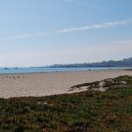 cambria2012_0010 (November 01, 2012)